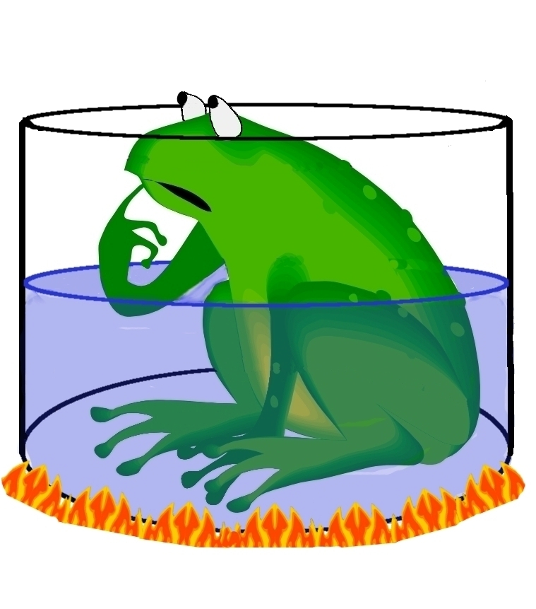 Are you the frog in the pot? - Managed Care Matters